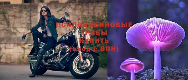MESCALINE Нефтекумск