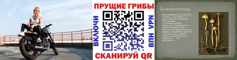 Галлюциногенные грибы MAGIC MUSHROOMS кракен зеркало Ирбит